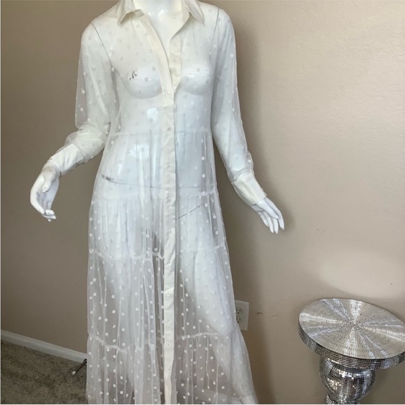 Zara Sheer White Polka Dot maxi Dress - Picture 7 of 13